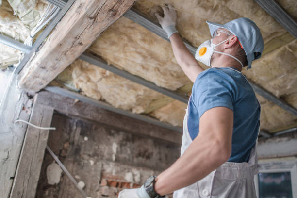 Best Insulation for Specific Applications in South Brooksville, FL