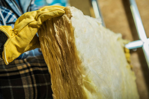 Best Eco-Friendly Insulation in South Brooksville, FL