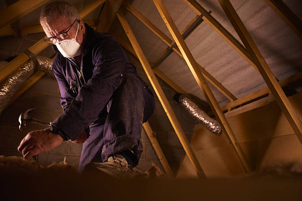Types of Insulation We Offer in South Brooksville, FL